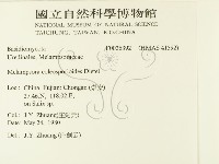 登錄號:F0026392藏品圖，第2張