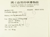 登錄號:F0026393藏品圖，第2張