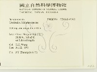 登錄號:F0026396藏品圖，第2張