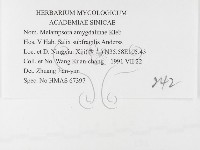 登錄號:F0026396藏品圖，第3張