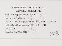 登錄號:F0026397藏品圖，第3張