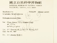 登錄號:F0026399藏品圖，第2張