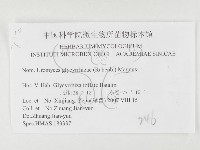 登錄號:F0026400藏品圖，第3張