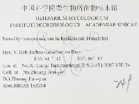 登錄號:F0026402藏品圖，第3張