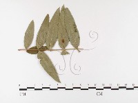 登錄號:F0026402藏品圖，第4張