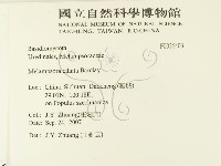 登錄號:F0026403藏品圖，第2張