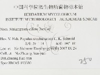 登錄號:F0026403藏品圖，第3張