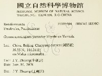登錄號:F0026404藏品圖，第2張