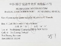 登錄號:F0026404藏品圖，第3張