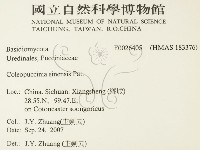 登錄號:F0026405藏品圖，第2張