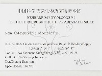 登錄號:F0026405藏品圖，第3張