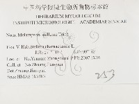 登錄號:F0026406藏品圖，第3張