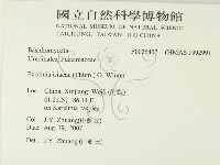 登錄號:F0026407藏品圖，第2張