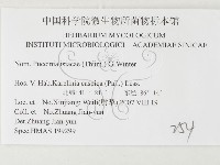 登錄號:F0026407藏品圖，第3張