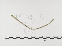 登錄號:F0026408藏品圖，第1張