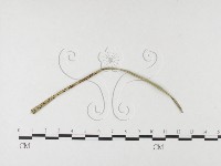 登錄號:F0026408藏品圖，第4張