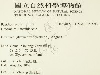 登錄號:F0026409藏品圖，第2張