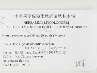 登錄號:F0026409藏品圖，第3張