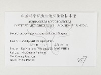 登錄號:F0026410藏品圖，第3張