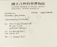 登錄號:F0026411藏品圖，第2張