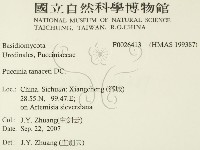 登錄號:F0026413藏品圖，第2張