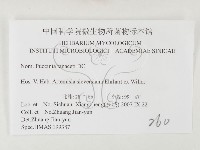 登錄號:F0026413藏品圖，第3張