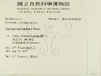 登錄號:F0026414藏品圖，第2張