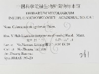 登錄號:F0026414藏品圖，第3張