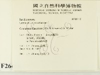 登錄號:F0026416藏品圖，第2張