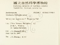 登錄號:F0026417藏品圖，第2張