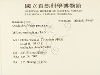 登錄號:F0026418藏品圖，第2張