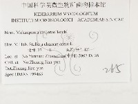 登錄號:F0026418藏品圖，第3張