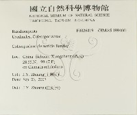 登錄號:F0026419藏品圖，第2張