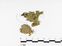 登錄號:F0026419藏品圖，第1張