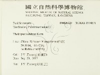 登錄號:F0026420藏品圖，第2張