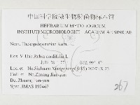 登錄號:F0026420藏品圖，第3張