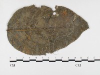 登錄號:F0026421藏品圖，第1張