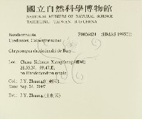 登錄號:F0026424藏品圖，第2張