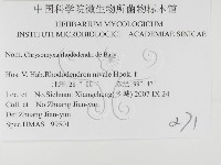 登錄號:F0026424藏品圖，第3張