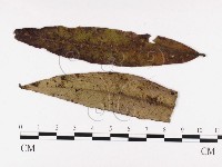 登錄號:F0026424藏品圖，第1張