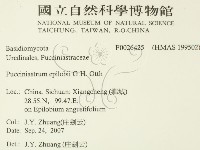 登錄號:F0026425藏品圖，第2張