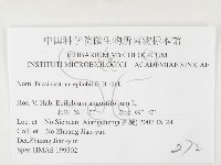 登錄號:F0026425藏品圖，第3張