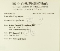 登錄號:F0026426藏品圖，第2張