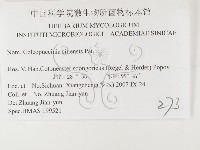 登錄號:F0026426藏品圖，第3張