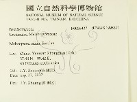 登錄號:F0026427藏品圖，第2張