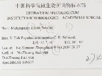 登錄號:F0026427藏品圖，第3張