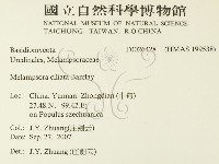 登錄號:F0026428藏品圖，第2張