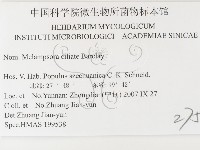 登錄號:F0026428藏品圖，第3張