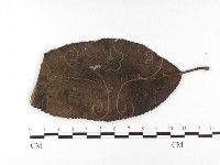 登錄號:F0026428藏品圖，第1張