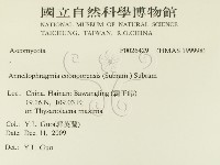 登錄號:F0026429藏品圖，第2張